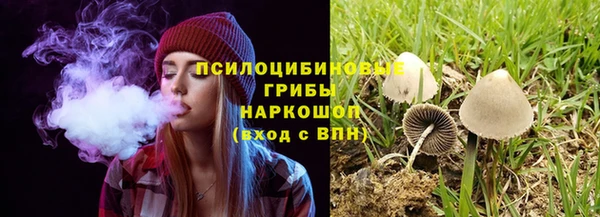 твердый Зеленодольск