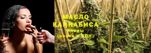 твердый Зеленодольск