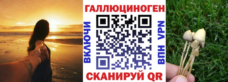 Галлюциногенные грибы Magic Shrooms  закладки  Калтан 